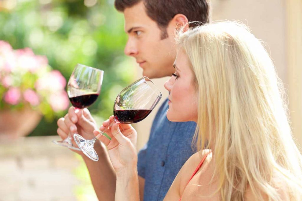 sonoma limo wine tours